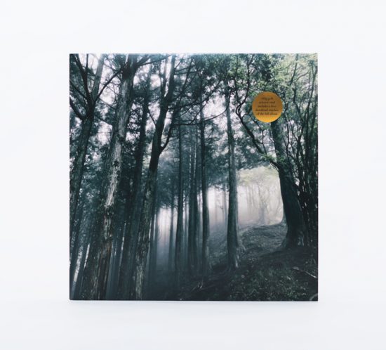 Akira Kosemura – In The Dark Woods – SCHOLE