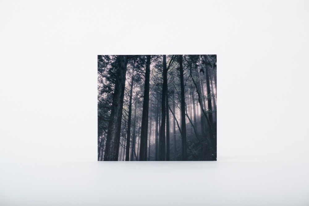Akira Kosemura – In The Dark Woods – SCHOLE